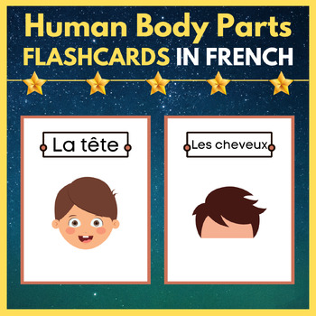 Preview of The Human Body - Body Parts Flash Cards In French. Printable Posters