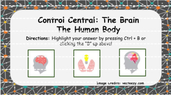 Preview of The Human Body - Control Center (Nervous System) Interactive Review Questions