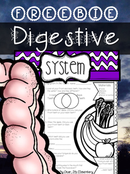 Preview of The Human Body {Digestive System FREEBIE}