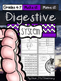 The Human Body {Digestive System}