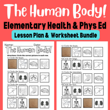 Preview of The Human Body - Elementary Health & Physical Education Bundle