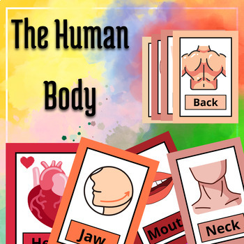 Preview of The Human Body, Human Body Reading Passages flashcards