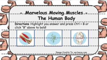 Preview of The Human Body - Marvelous Moving Muscles (Muscular System) Interactive Review