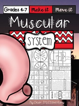 Preview of The Human Body {Muscular System}