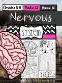 The Human Body {Nervous System}