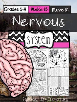 Preview of The Human Body {Nervous System}
