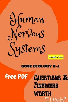 Preview of The Human Body "Nervous System" | Basic Biology Study ANSWERS