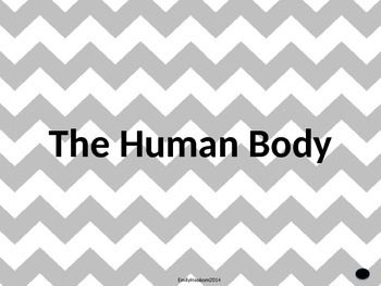Preview of The Human Body PowerPoint