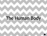The Human Body PowerPoint