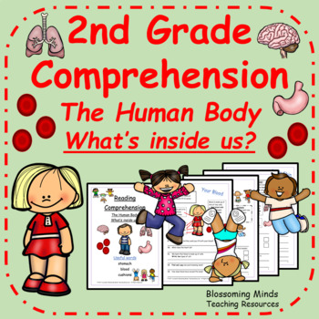 Preview of The Human Body Reading Comprehension - 2nd Grade