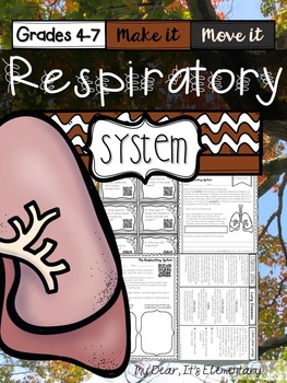 Preview of The Human Body {Respiratory System}