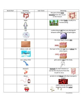 Preview of The Human Body Root Word Parts with Matching Test