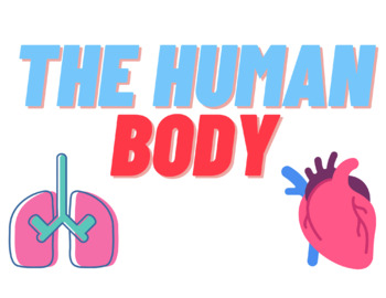 Preview of The Human Body Sign