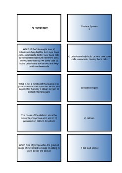 Preview of The Human Body - Skeletal System Flash Cards II