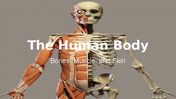 Preview of The Human Body Slides/Kahoot Quizzes (20 Days- EDITABLE)