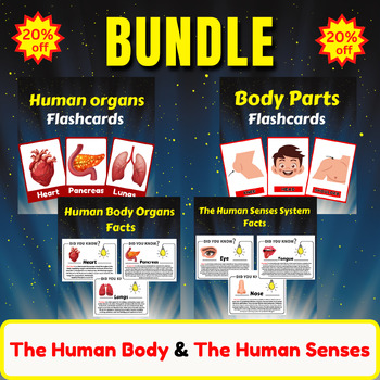 Preview of The Human Body System Facts. Five Senses/ Body Parts/ Human organs/ Bundle