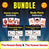 The Human Body System Facts. Five Senses/ Body Parts/ Huma