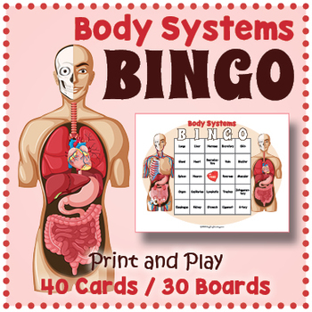 Preview of The Human Body Systems BINGO & Fun Memory Matching Card Game Activity