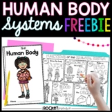 The Human Body Systems Fact Book and Coloring Notes FREEBIE!