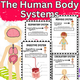 Human Body Systems Worksheets :Digestive,Circulatory,Respi