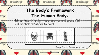 Preview of The Human Body - The Body's Framework (Skeletal System) Interactive Review
