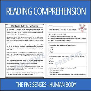 Preview of Human Body: The Five Senses - Reading Comprehension Activity