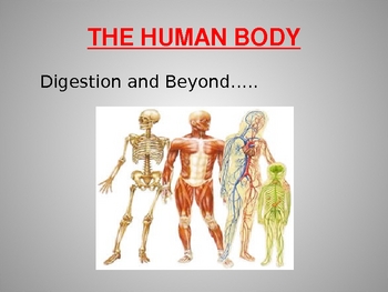 Preview of The Human Body and Beyond PowerPoint