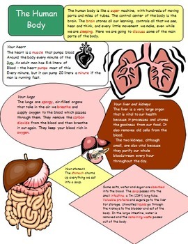 The Human Body and Organs by Sea of Knowledge | Teachers Pay Teachers