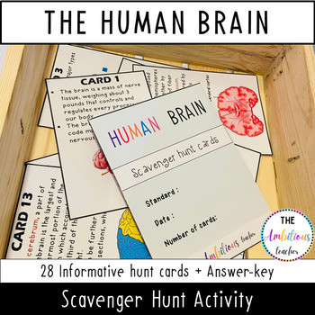 Preview of The Human Brain Activity | Scavenger Hunt | Worksheet, Fun Assessment