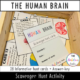 The Human Brain Activity | Scavenger Hunt | Worksheet, Fun