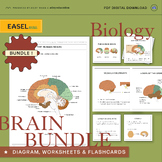 The Ultimate Human Brain Learning BUNDLE - Diagrams, Works