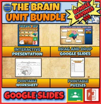 Preview of The Human Brain Unit Bundle: Presentation | Drag and Drop | Puzzles | Worksheet