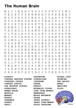 The Human Brain Word Search by Steven's Social Studies | TpT