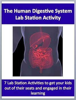 Preview of The Human Digestive System - 7 Engaging Lab Station Activities