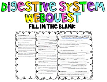 Preview of The Human Digestive System Webquest: Fill in the Blank