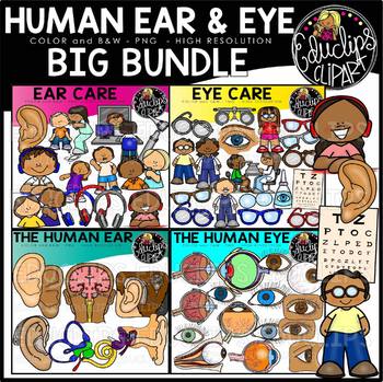 Preview of The Human Ear & Eye Clip Art Bundle {Educlips Clipart}