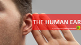 The Human Ear Powerpoint Presentation