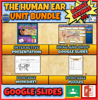 Preview of The Human Ear Unit Bundle: Presentation | Drag and Drop | Puzzles | Worksheet