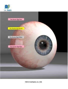 Preview of The Human Eye-Text,Audio,Video,Interactive Quiz