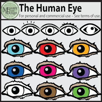Preview of The Human Eye and Eye Icon Clip Art {Messare Clips and Design}
