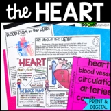 The Human Heart | Circulation | Human Body Organs