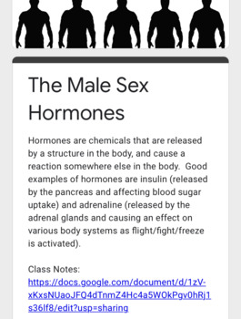 Preview of The Human Male:  The Reproductive System