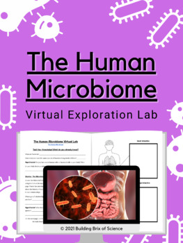 Preview of The Human Microbiome Virtual Exploration Lab