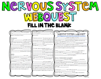 Preview of The Human Nervous System Webquest: Fill in the Blank