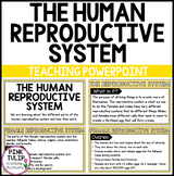 The Human Reproductive System - Female and Male PowerPoint
