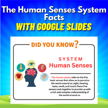 Preview of The Human Senses System Facts. Printable With Google Slides