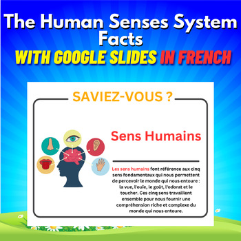 Preview of The Human Senses System Facts in French. Printable With Google Slides