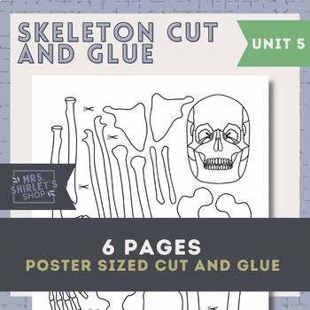 Preview of The Human Skeleton Cut and Glue Poster- Anatomy Unit 5 The Skeletal System