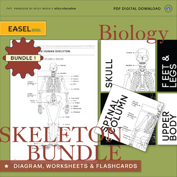 Preview of The Human Skeleton Diagram Worksheets & Flashcards -Science Educational Resource