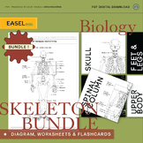 The Human Skeleton Diagram Worksheets & Flashcards -Scienc